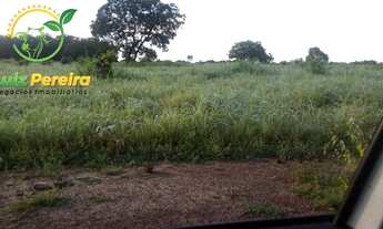 Imagem 4: FAZENDA À VENDA EM FIGUEIRÓPOLIS - TO - DE 281 ALQUEIRÕES