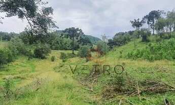 Imagem 5: Sítio na Linha Araripe em Nova Petrópolis!