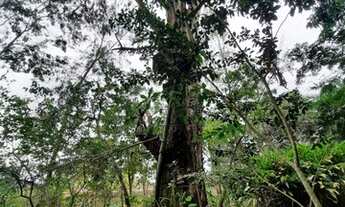 Imagem 3: Mini Sítio loteamento Morada das Águias, Barroco, Itaipuaçu, Maricá