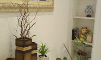 Imagem 7: VILA MONUMENTO - 45M² - LINDO APARTAMENTO - 1 VAGA E LAZER