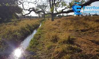 Imagem 2: Chácara em Uberlândia - MG com 20.000 m²