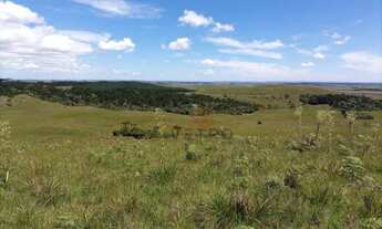 Imagem 5: Sítio na Várzea do Cedro em São Francisco de Paula!