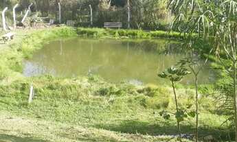 Imagem 4: CHÁCARA A VENDA