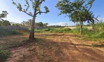 Imagem 2: Terreno de Rancho à venda por R$ 1.590.000 - Represa de Rifaina - Rifaina/SP