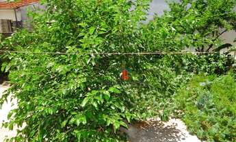 Imagem 7: Casa com 3 dormitórios à venda, 133 m² por R$ 650.000,00 - Jardim Ipiranga - Americana/SP