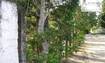 Imagem 2: Chácara à venda, 20000 m² por R$ 400.000,00 - Carne de Vaca - Goiana/PE