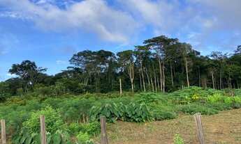 Imagem 3: Vende-se 03 três chácaras à 25 minutos do Centro