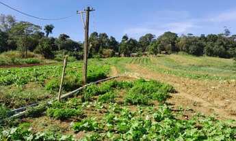 Imagem 6: Sítio rural, 2.400 m2. Família desmembrando. 12 km do Centro de Mogi das Cruzes