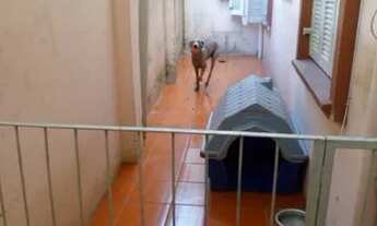 Imagem: Apartamento Garden