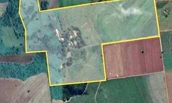 Imagem 2: Fazenda 140,36 hectares Região Araraquara SP