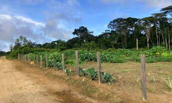 Imagem 2: Vende-se 03 três chácaras à 25 minutos do Centro