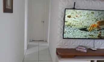 Imagem 3: Portal das Flores 69879