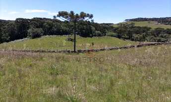 Imagem 3: Sítio na Várzea do Cedro em São Francisco de Paula!