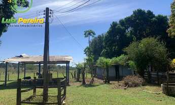 Imagem 3: FAZENDA À VENDA EM ROCHEDO - MS - 250 HECTARES (PECUÁRIA