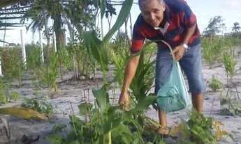 Imagem 3: Sítio na cidade de Alhandra