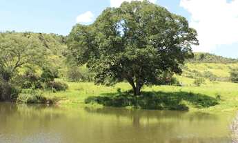 Imagem 7: Excelente fazenda de 130 alqueires em Cocalzinho
