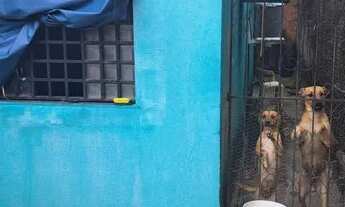 Imagem 7: Casa para venda tem 160 metros quadrados com 2 quartos em Nova Cidade - Manaus - AM