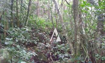 Imagem 3: Sitio à venda, Palhocinha, Garopaba -
