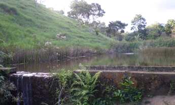 Imagem 3: Fazenda de 50ha no Vale do Jiquiriçá (cacau e gado