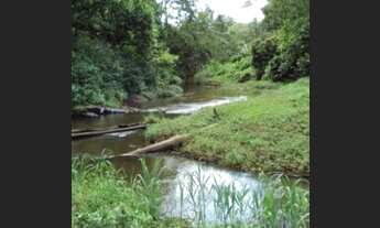 Imagem: Fazenda de Cacau com 54,7 ha povoado Japu
