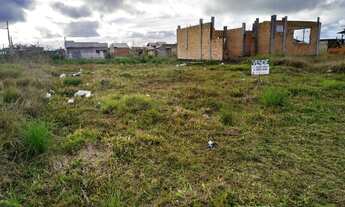 Imagem 5: Terreno para Venda em Porto Grande Araquari-SC - 1084