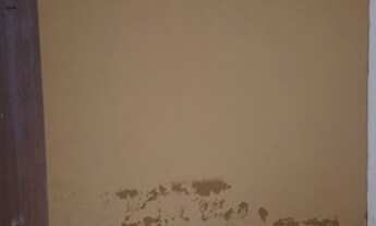 Imagem 7: Quitinet no santa cruz