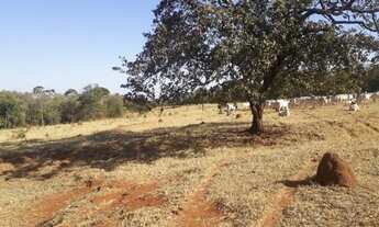 Imagem 5: Fazenda - Caçu GO