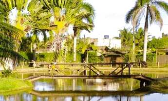 Imagem 5: Sítio 25.000m² em Marliéria, região de Timóteo