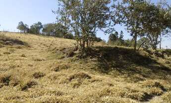 Imagem 7: Fazenda/Sítio/Chácara para venda com 43254 metros quadrados com 2 quartos
