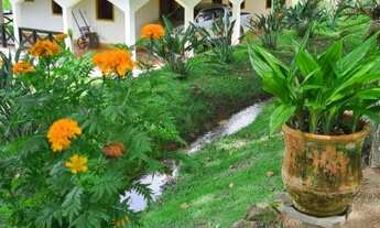 Imagem 9: Fazenda para Venda - FAZENDA, FLORESTAL - 110000m², 3 vagas