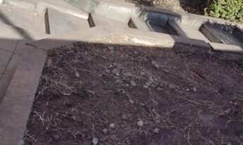 Imagem 7: Zé Garoto - Casa Comercial 5 quartos na Olimar Imoveis