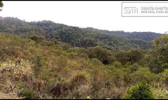 Imagem 5: SÍTIO VISTA PANORÂMICA/RICO EM ÁGUA DELFIM MOREIRA - MG