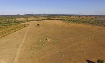 Imagem 5: Fazenda para venda com 2600 hectare zona rural- Cáceres - MT
