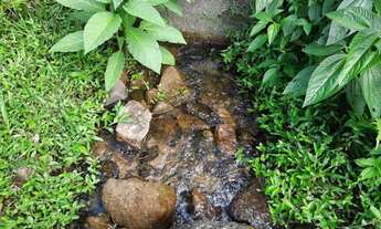 Imagem 7: Área de Sítio Em Santo Amara Da Imperatriz Com Riacho Dentro do Terreno