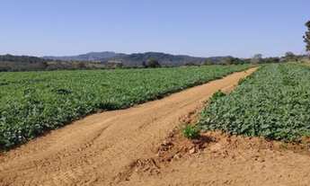 Imagem 2: Fazenda 87 Alq , Nova America-GO