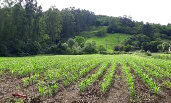 Imagem 7: Chácara em Rolante com riacho