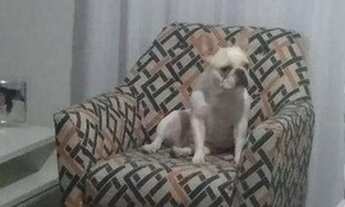 Imagem 5: Apartamento à venda, 78 m² por R$ 342.000,00 - Macedo - Guarulhos/SP