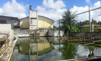 Imagem 6: Galpão comercial à venda, Tabapuá, Caucaia