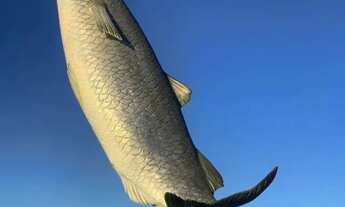 Imagem 6: Apartamento Encantador centro 1 quadra da praia