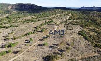 Imagem 3: Fazenda em Montividiu do Norte