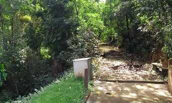 Imagem 5: Chácara com 2 dormitórios à venda, 20000 m² por R$ 450.000,00 - Palmeiral - Botelhos/MG