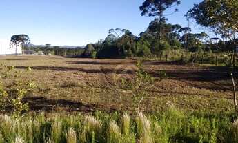 Imagem 6: Terreno à venda, 40363 m² por R$ 6.377.353,00 - Campo Largo da Roseira - São José dos Pinh