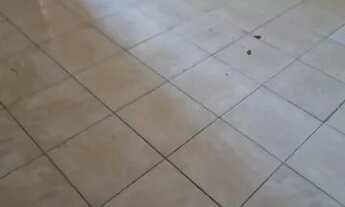 Imagem 3: Alugo barracão Casa com 1 dormitório