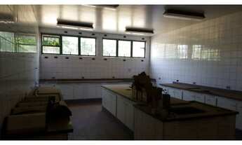 Imagem 5: Industrial para locação Distrito Industrial DOMINGOS BIANCARDI