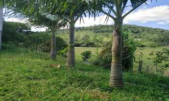 Imagem: Sítio 14hac com infraestrutura completa