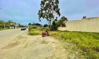 Imagem 5: Três excelentes terrenos localizados em Zimbros-Bombinhas/SC
