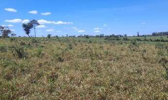 Imagem 5: FAZENDA À VENDA EM TUMTUM - MA - 2.400 HECTARES