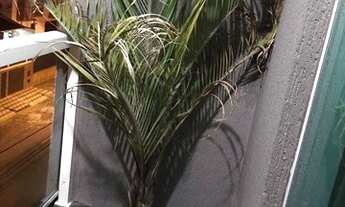 Imagem: Cobertura com 2 dormitórios para alugar