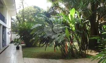 Imagem 2: São Paulo - Casa Padrão - CITY PINHEIROS