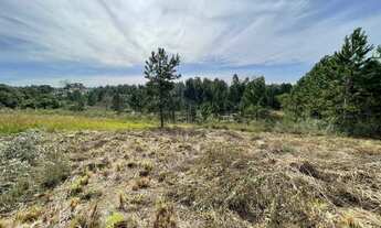 Imagem 5: TERRENO CONDOMÍNIO QUATRO BARRAS - PR